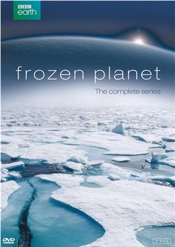冰冻星球 第一季在线观看和下载