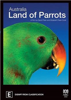 澳洲野生鹦鹉在线观看和下载
