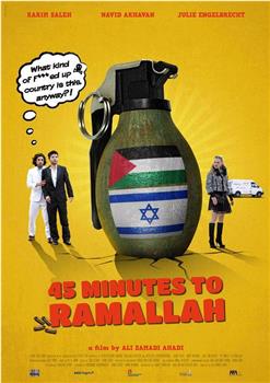 45 Minutes to Ramallah在线观看和下载