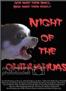 Night of the Chihuahuas在线观看和下载