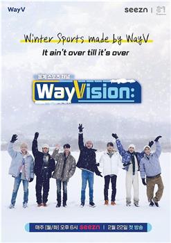 WayVision 2在线观看和下载