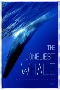 最孤独的鲸：寻找52在线观看和下载