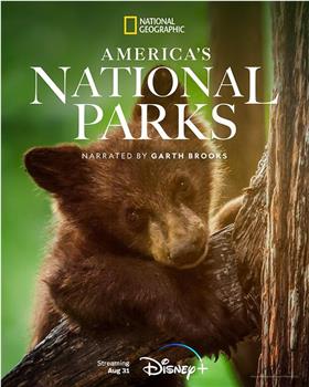 美国国家公园 第一季在线观看和下载