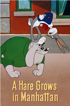A Hare Grows in Manhattan在线观看和下载