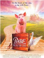 小猪宝贝2：小猪进城在线观看和下载