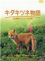 狐狸的故事在线观看和下载