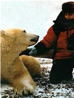 伊万·麦格雷戈探访野生北极熊在线观看和下载