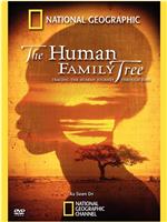 2009年国家地理杂志专题 人类基因树在线观看和下载