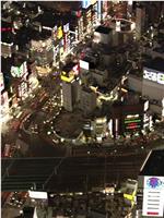实境之旅：东京夜景在线观看和下载