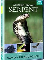 野生动物系列—蛇在线观看和下载