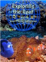 探索珊瑚礁在线观看和下载