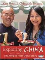 发现中国：美食之旅在线观看和下载