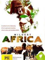 狂野非洲在线观看和下载