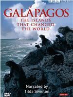 加拉帕戈斯群岛在线观看和下载