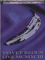 Velvet Underground: Velvet Redux Live MCMXCIII在线观看和下载