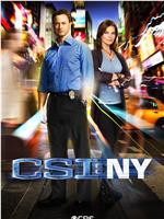 犯罪现场调查：纽约 第八季在线观看和下载