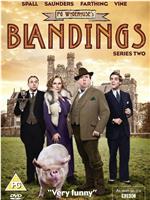 布兰丁斯城堡 第二季在线观看和下载
