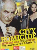 城市凶杀组  第五季在线观看和下载