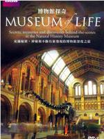 生命博物馆在线观看和下载