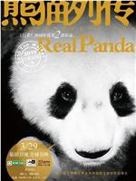 熊猫列传在线观看和下载