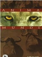 Anima Mundi在线观看和下载
