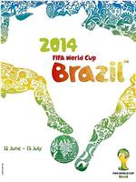 2014年巴西世界杯在线观看和下载