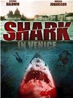 威尼斯之鲨在线观看和下载