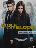 狼血少年 第二季在线观看和下载