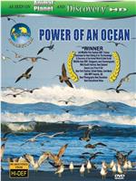 赤道系列：海洋的力量在线观看和下载