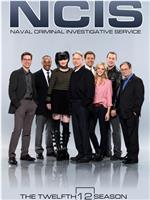 海军罪案调查处 第十二季在线观看和下载