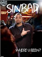 Sinbad: Where U Been?在线观看和下载