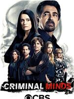 犯罪心理 第十二季在线观看和下载