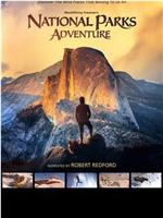 狂野之美：国家公园探险在线观看和下载