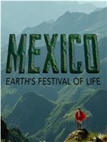 墨西哥：地球生命的狂欢在线观看和下载