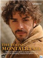 年轻蒙塔尔巴诺 第一季在线观看和下载