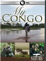 自然：我的刚果在线观看和下载