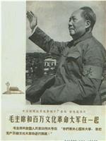 毛主席和百万文化革命大军在一起在线观看和下载