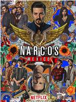 毒枭：墨西哥 第二季在线观看和下载