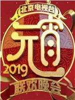 2019北京卫视元宵晚会在线观看和下载
