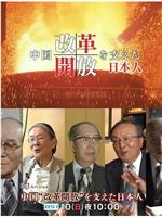 推动中国改革开放的日本人在线观看和下载