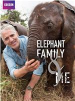 非洲象家族与我在线观看和下载