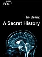 大脑：神秘的历史 第一季在线观看和下载
