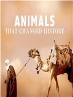 改变历史的动物在线观看和下载