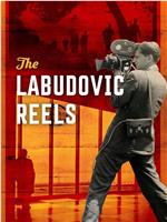 游击队电影：拉布多维奇的胶片纪录在线观看和下载