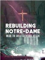 古教堂大救援：争分夺秒拯救巴黎圣母院在线观看和下载