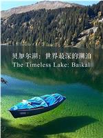 贝加尔湖：世界上最深的湖泊在线观看和下载