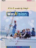 WayVision在线观看和下载