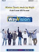 WayVision 2在线观看和下载
