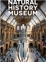 英国自然历史博物馆：神奇世界 第一季在线观看和下载