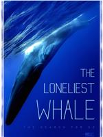 最孤独的鲸：寻找52在线观看和下载
